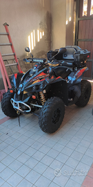 Quad Can-Am Renegade 800XR EFI