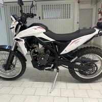 Beta alp 4.0 pari al nuovo