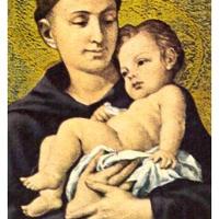 Santino - Sant'Antonio da Padova.6