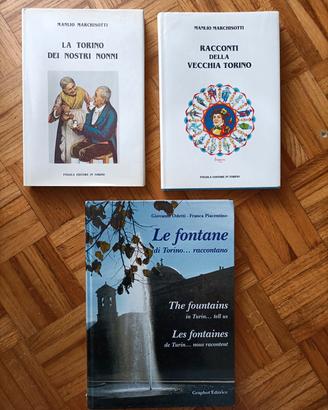 Libri su Torino 