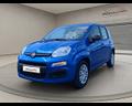 fiat-fiat-panda-1-0-firefly-hybrid-nuova-km