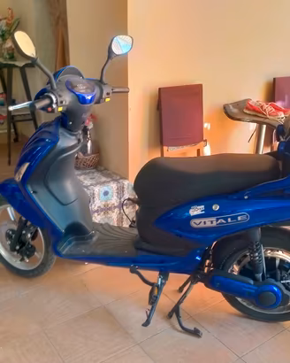 bici elettrica 