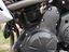 Immagine 6