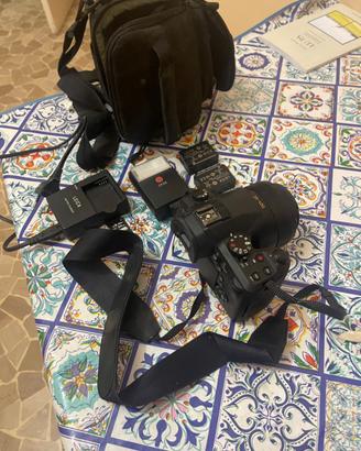 Kit Leica V-Lux (Type 114) Professionale