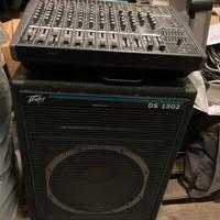 Casse Peavey DS1502