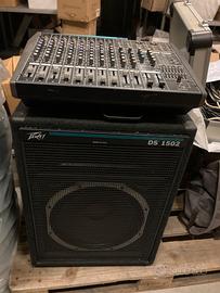 Casse Peavey DS1502