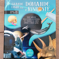 Libro, grande libro delle domande e risposte