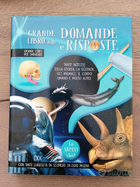 Libro, grande libro delle domande e risposte