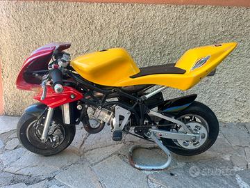 Minimoto DM