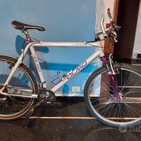 Olmo Storm Stx bianco perla