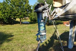 Motore marino Evinrude 10 CV