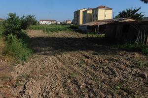Rif.AA-T34| terreno agricolo campiglia marittima