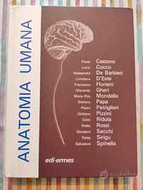 Anatomia umana Castano Cocco libro manuale