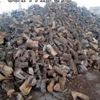 legna secca 