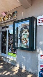 Vetrina da esposizione
