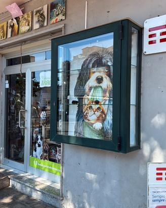 Vetrina da esposizione