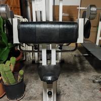 CURL MACHINE TECHNOGYM 