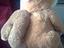 Immagine 2
