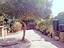 Immagine 26