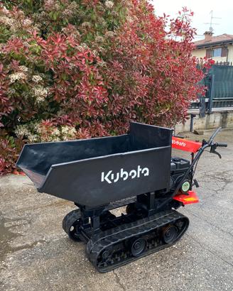M175- Motocarriola Kubota