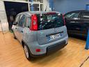 fiat-panda-1-0-benzina-nuova-2022-40-000km