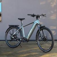 E-Bike Raymon Tahona Comp Diamond
