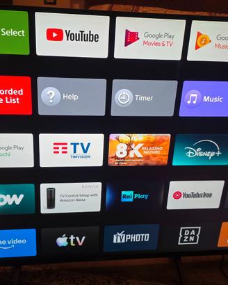 Smart tv Android Sony Bravia 55 pollici