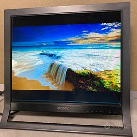 Monitor 19 pollici e materiale informatico