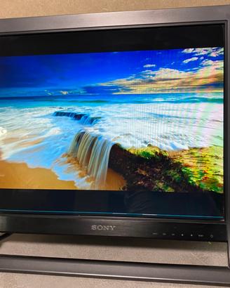 Monitor 19 pollici e materiale informatico