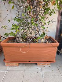 Fioriere con sottovaso