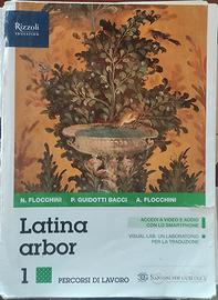 testi scolastici Liceo Classico/Scientifico 