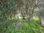 Immagine 26