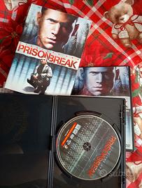 6 DVD Serie Prison Break stagione 1 completa