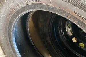 Gomme invernali, fiorino/pansa