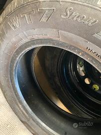 Gomme invernali, fiorino/pansa