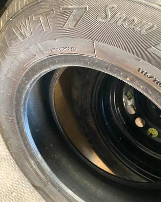 Gomme invernali, fiorino/pansa