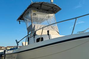 Barca Walkaround Fisherman