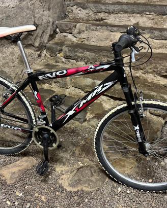 Bici uomo