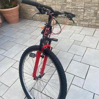 Montain bike