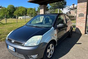 Ford Fiesta X operatori del settore