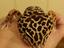 Immagine 5