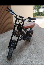 bici elettrica potente