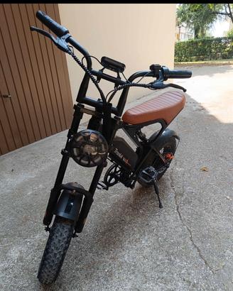 bici elettrica potente