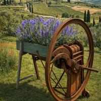 Trincia strocchi fioriera