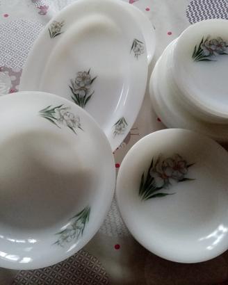 Servizio di piatti in arcopal