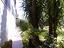 Immagine 10