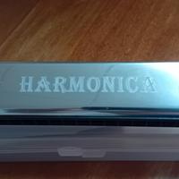 armonica da 24 fori 