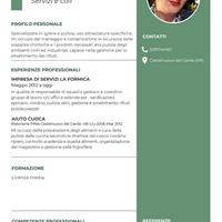 Cameriera, pulizie, ristorante