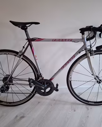 Moser Taglia Media 