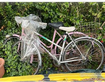 Due biciclette